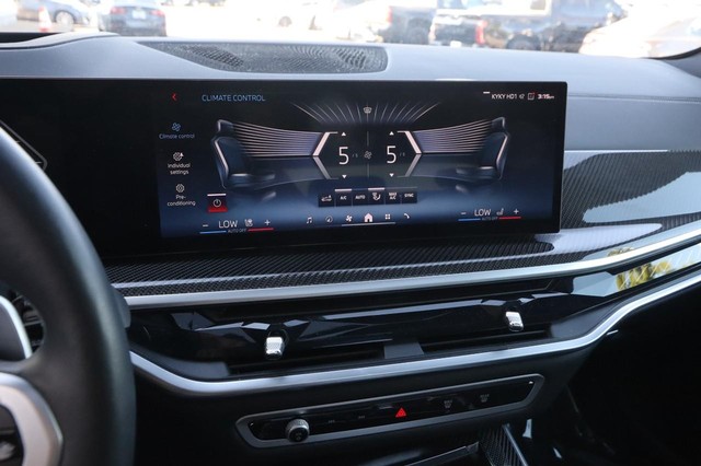 BMW X5 Vehicle Image 19