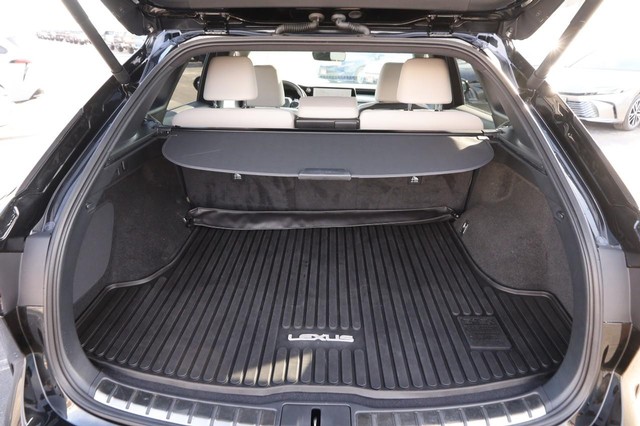 Lexus RX Vehicle Image 07