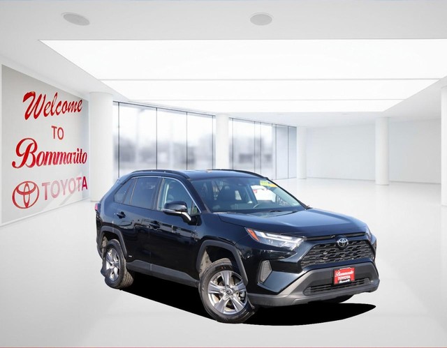 Toyota RAV4 Vehicle Image 02