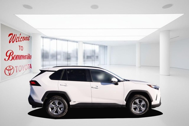 Toyota RAV4 Vehicle Image 05
