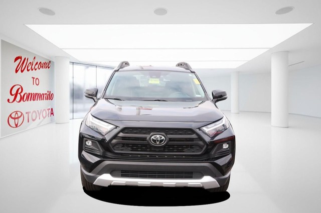 Toyota RAV4 Vehicle Image 04