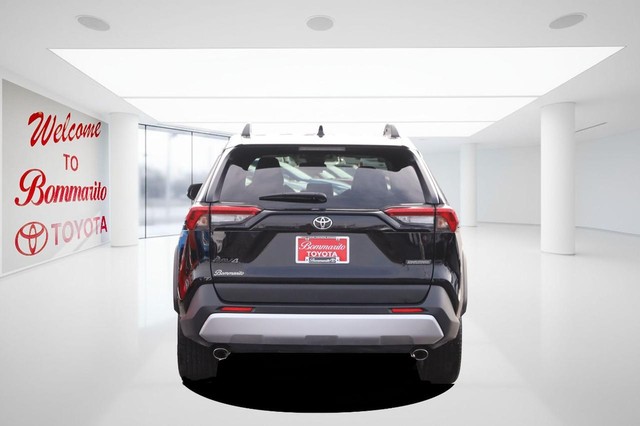Toyota RAV4 Vehicle Image 06