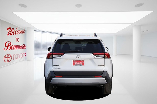 Toyota RAV4 Vehicle Image 06