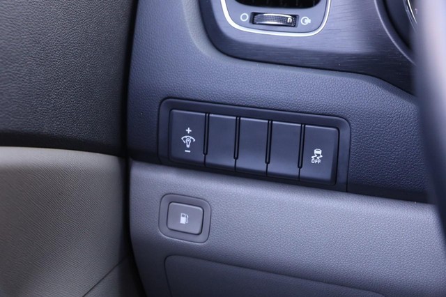 Kia Sedona Vehicle Image 21