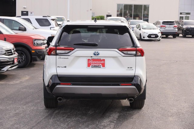 Toyota RAV4 Vehicle Image 06