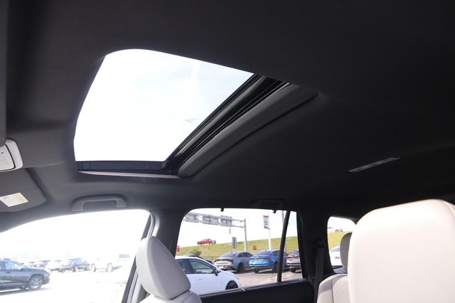 Honda Passport Vehicle Image 09