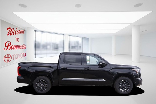 Toyota Tundra 4WD Vehicle Image 05