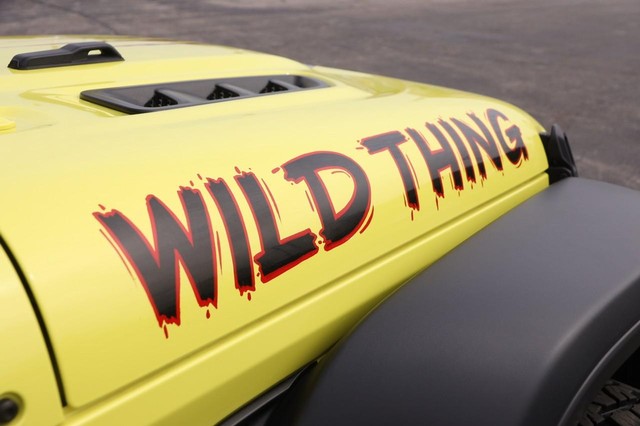 Jeep Wrangler Vehicle Image 31