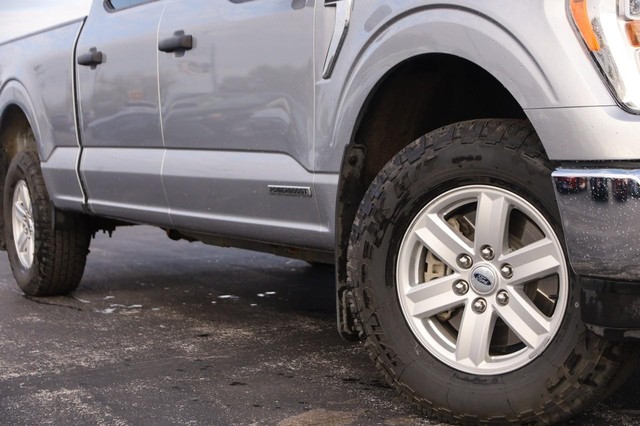 Ford F-150 Vehicle Image 03