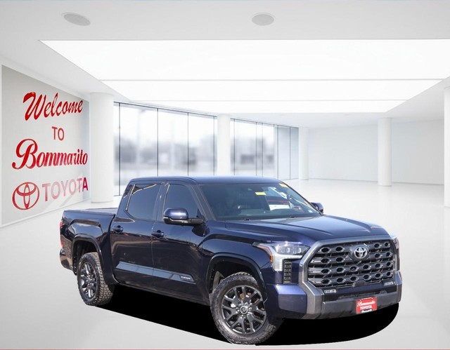 Toyota Tundra 4WD Vehicle Image 02