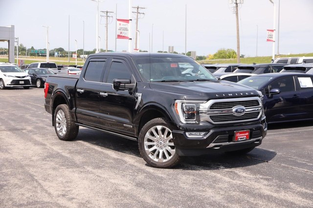 Ford F-150 Vehicle Image 02