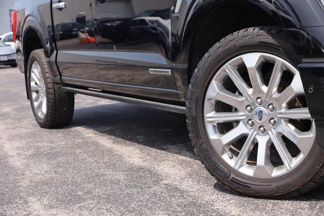 Ford F-150 Vehicle Image 03