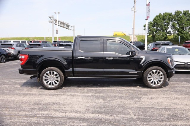 Ford F-150 Vehicle Image 05