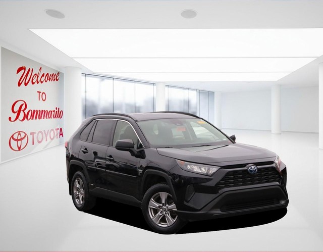 Toyota RAV4 Vehicle Image 02