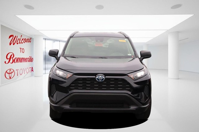 Toyota RAV4 Vehicle Image 04