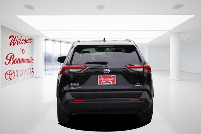 Toyota RAV4 Vehicle Image 06