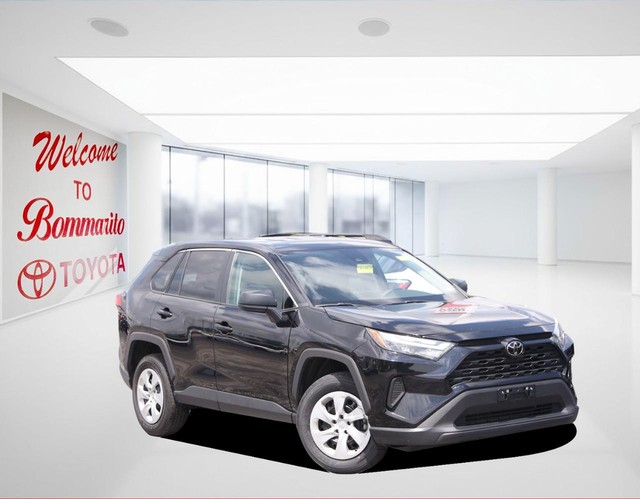 Toyota RAV4 Vehicle Image 02