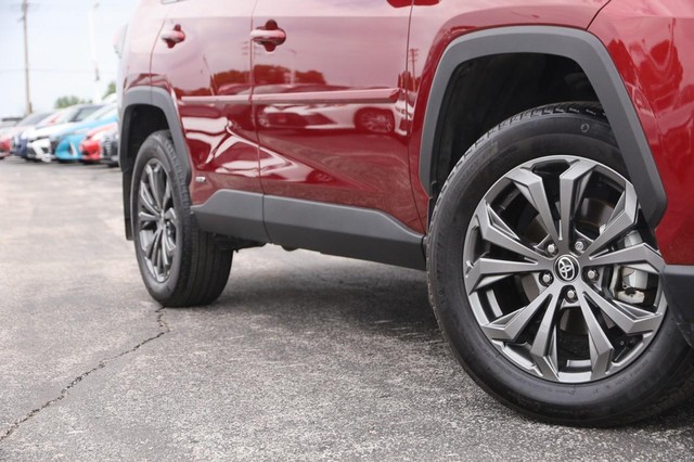 Toyota RAV4 Vehicle Image 03