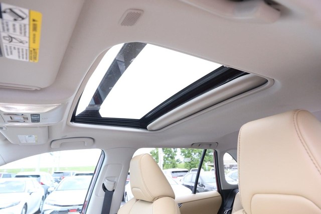 Toyota RAV4 Vehicle Image 09