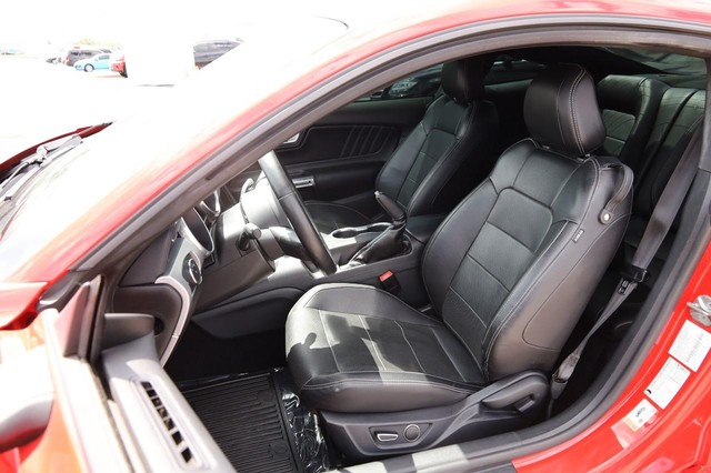 Ford Mustang Vehicle Image 08