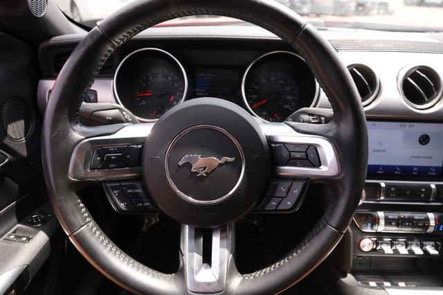 Ford Mustang Vehicle Image 10