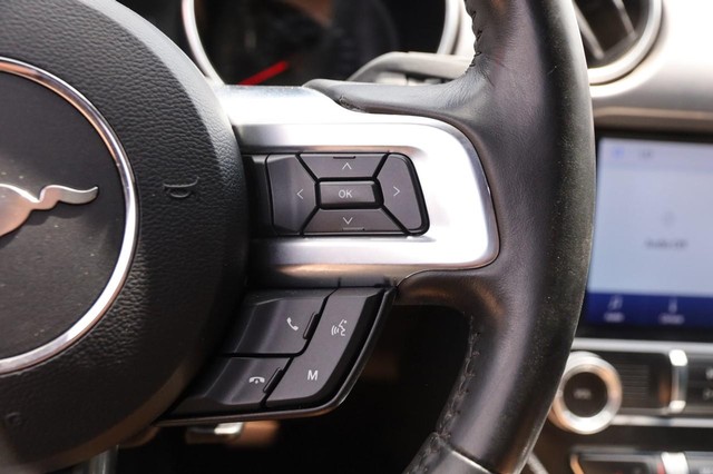 Ford Mustang Vehicle Image 12