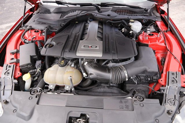 Ford Mustang Vehicle Image 26