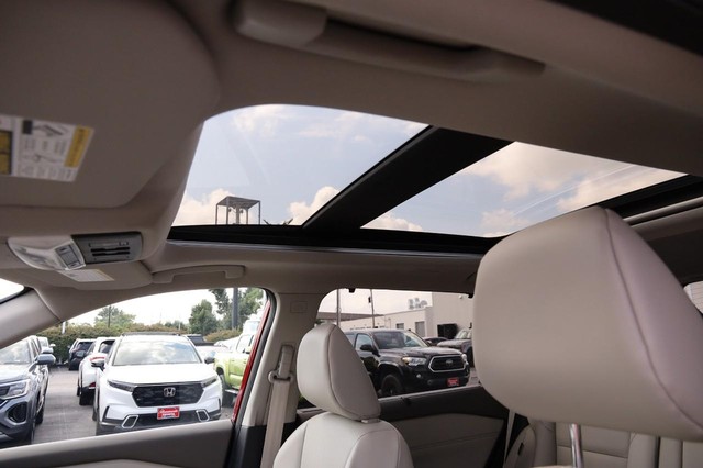 Nissan Rogue Vehicle Image 09