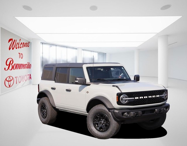 Ford Bronco Vehicle Image 02