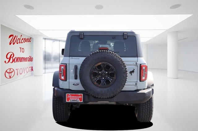 Ford Bronco Vehicle Image 06