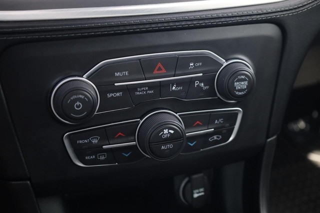 Dodge Charger Vehicle Image 17