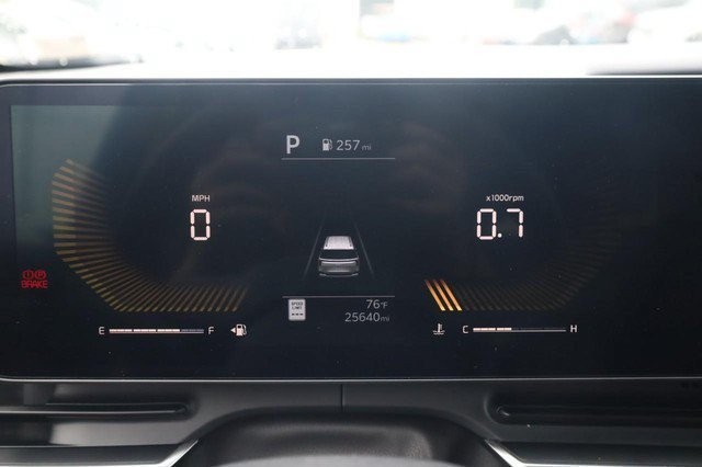 Kia Carnival Vehicle Image 13