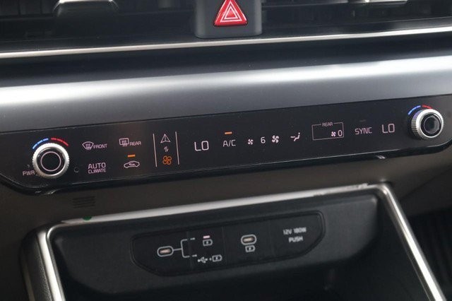 Kia Carnival Vehicle Image 16