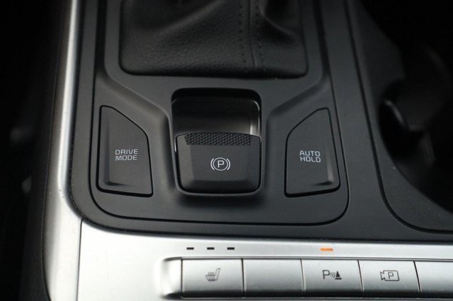 Kia Carnival Vehicle Image 19