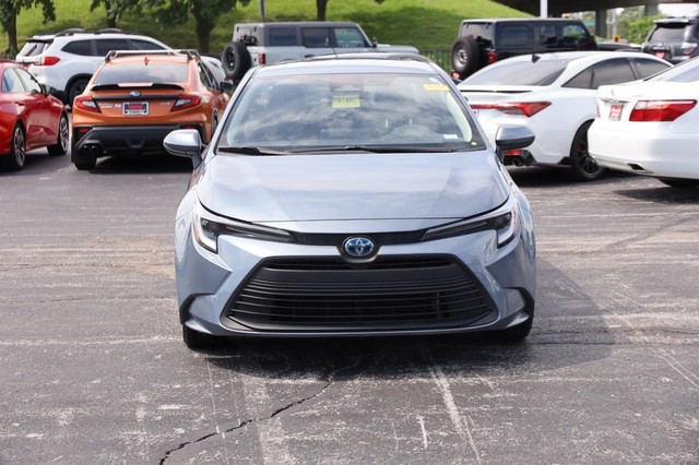 Toyota Corolla Vehicle Image 04
