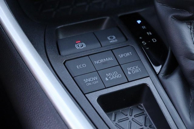 Toyota RAV4 Vehicle Image 19