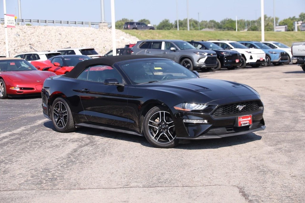 Ford Mustang Vehicle Full-screen Gallery Image 2