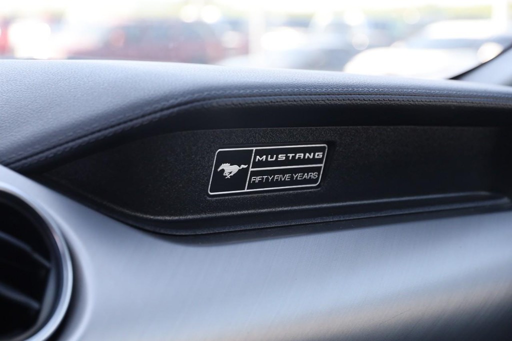 Ford Mustang Vehicle Full-screen Gallery Image 21