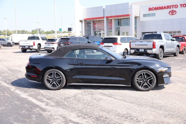 Ford Mustang Vehicle Image 05