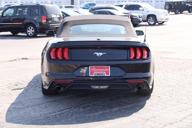 Ford Mustang Vehicle Image 06