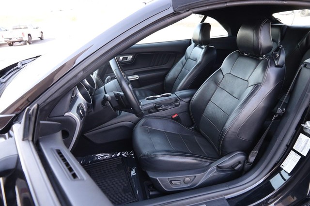 Ford Mustang Vehicle Image 08