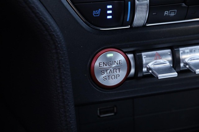 Ford Mustang Vehicle Image 19