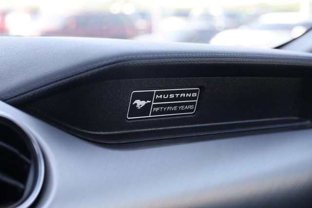 Ford Mustang Vehicle Image 21