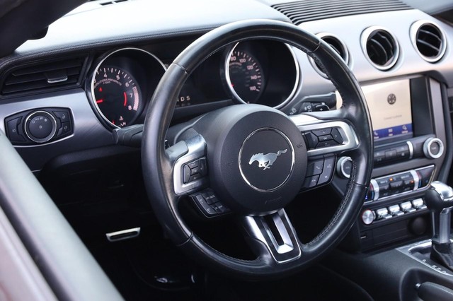 Ford Mustang Vehicle Image 24