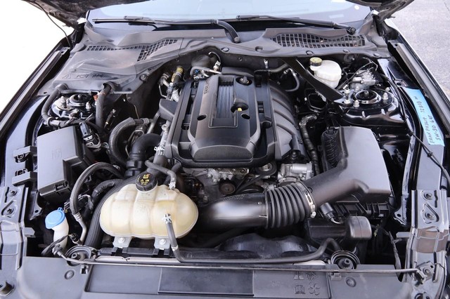 Ford Mustang Vehicle Image 28