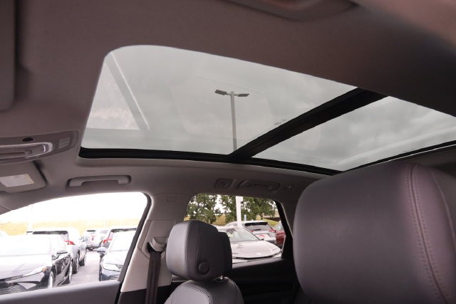 Audi Q5 Vehicle Image 13