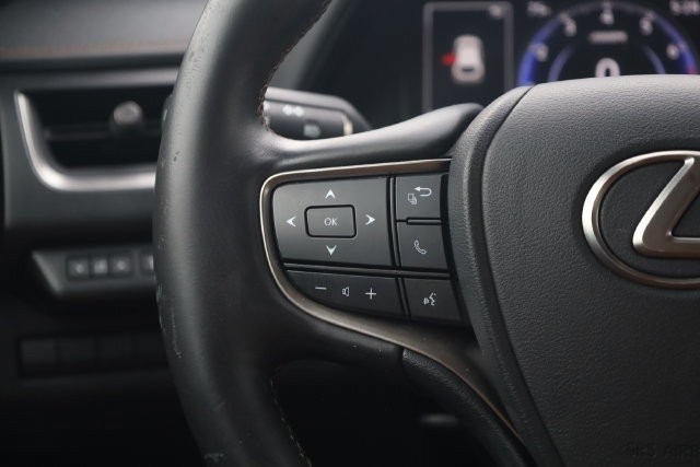 Lexus UX Vehicle Image 11