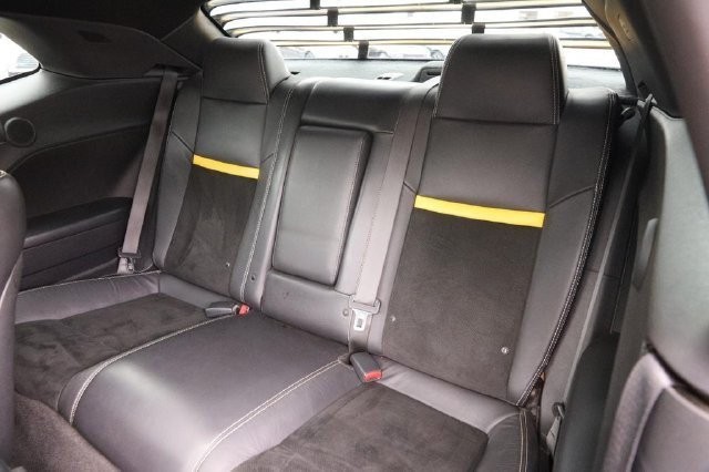 Dodge Challenger Vehicle Image 09