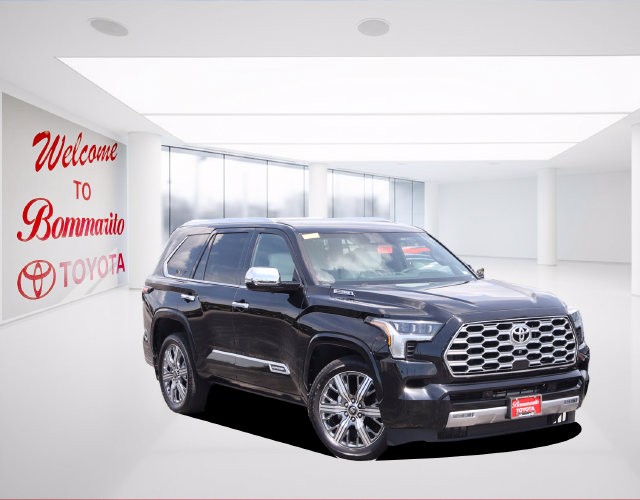 Toyota Sequoia Vehicle Image 02