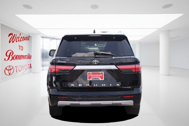 Toyota Sequoia Vehicle Image 06
